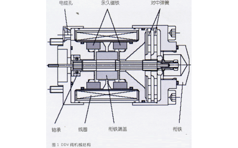 DDV安博在线注册,安博（中国）介绍及其应用